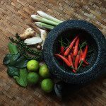 Low FODMAP Thai Red Curry Paste